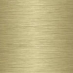 Spiegel met messing kleurig frame